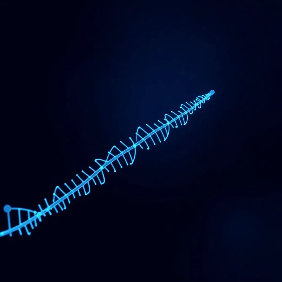 Hyperparameter Tuning for Machine Learning Models